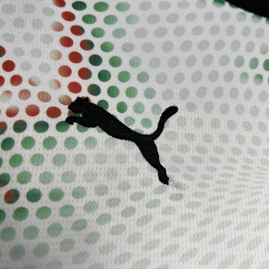 25/26 Maillot du PORTUGAL Blanc/Rouge/Vert