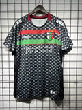 25/26 Maillot Adulte Palestine