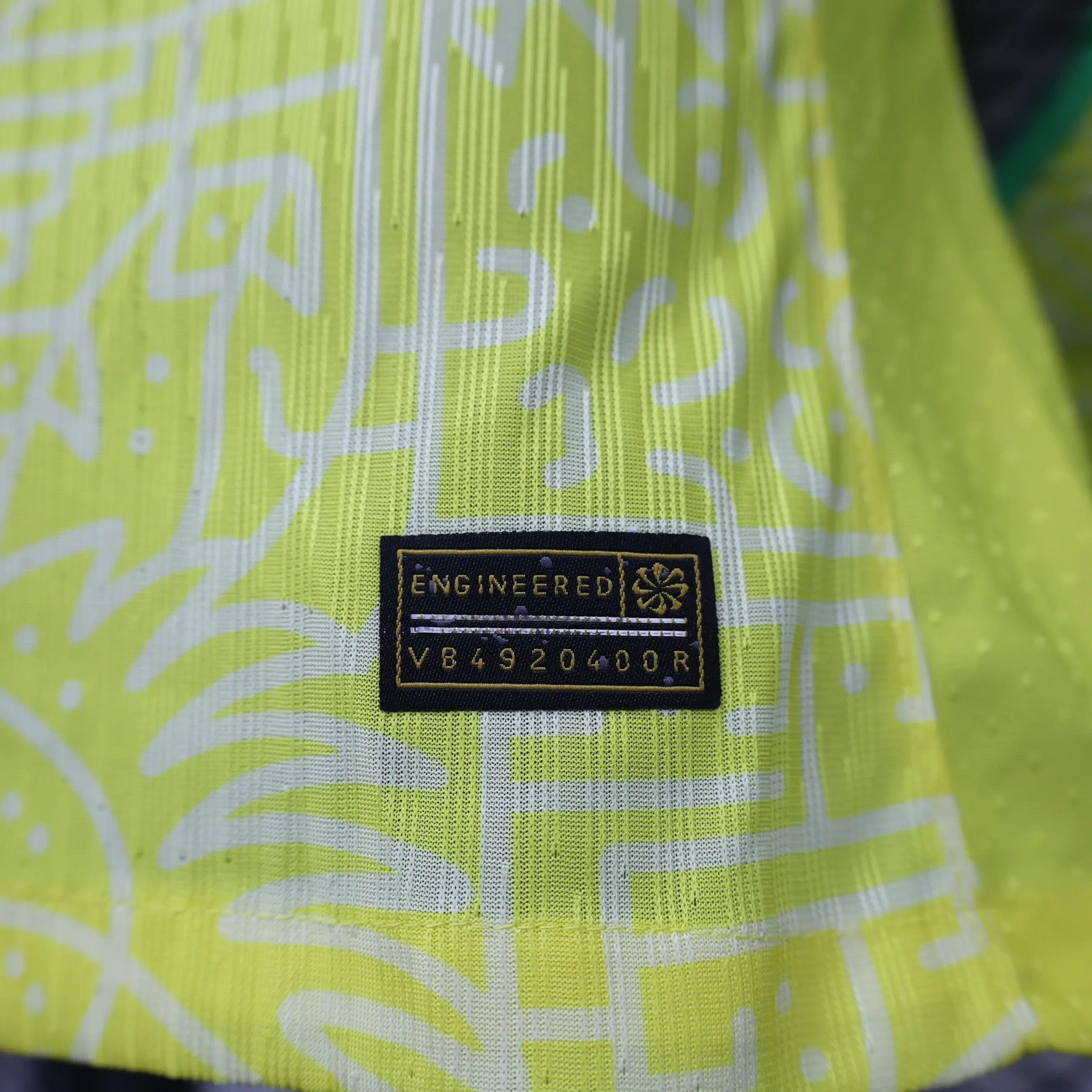 MAILLOT BRÉSIL DOMICILE 2024