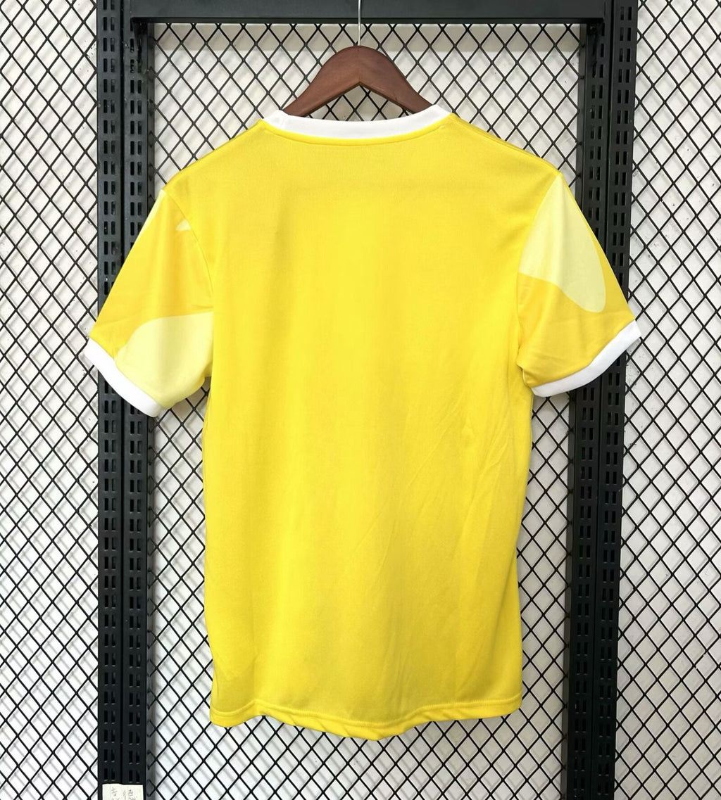 Maillot 25/26 Brésil Spécial C